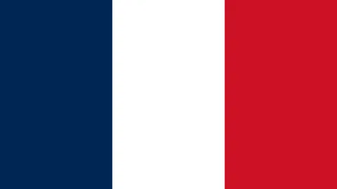 雄狮沧州资金已足却遇门槛困境：6000万已到位，项目推进遇阻？